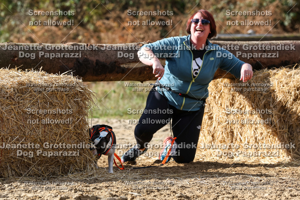 Dog Paparazzi - Strongdog 10-25-4977 | Dog Paparazzi Jeanette Grottendiek Fotografie & Videografie - Realisiert mit Pictrs.com