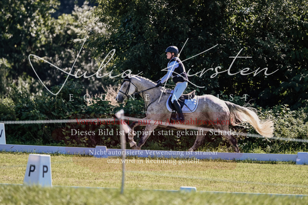 DSC_1383 | Pferde- und Turnierfotografie in Westsachsen. Pferdeportraits, Auftragszeichnungen und intuitive Kunst.
