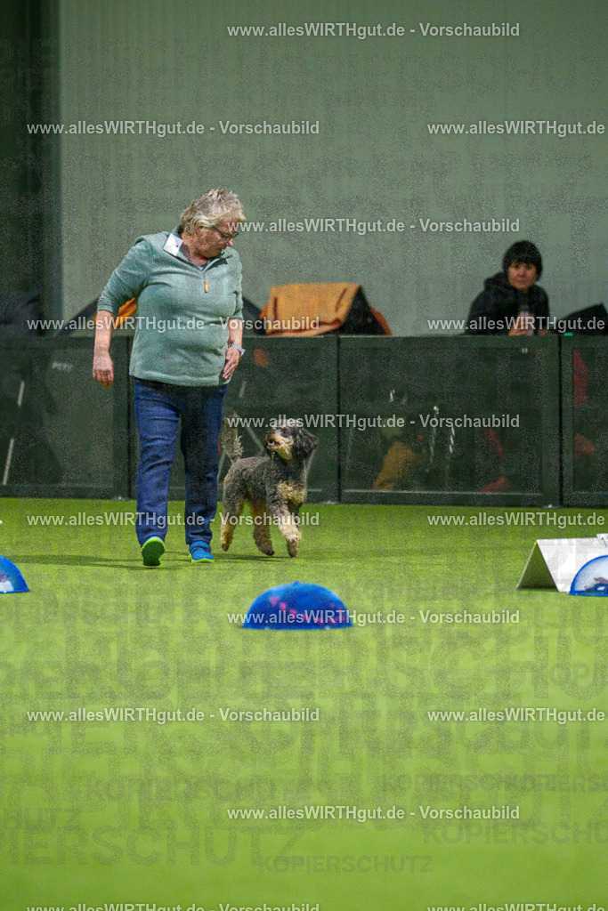 7R504037 | Professionelle Tierfotografie in Mönchengladbach von Daniel Wirth (allesWIRTHgut). Liebevolle & natürliche Bilder von Hunden & Katzen für unvergessliche Erinnerungen.