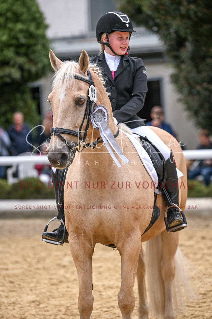 Schugtsche-Aluta25-46.ReiterWB_STG-188 | Schugtsche Fotografie - Realisiert mit Pictrs.com