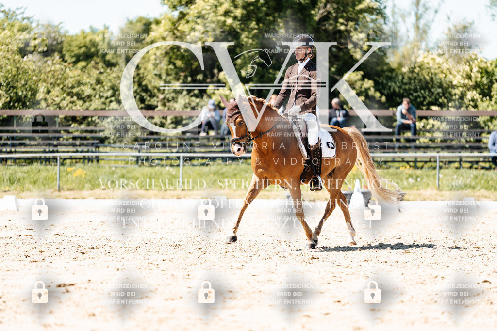 CK905499 | Turnierfotografie Pferdefotografie Trier Rheinland-Pfalz Pferdesport Reitsport Tierfotografie Sportfotografie Pferdevideo Pferdevideografie Equestrianvideography equestrianphotography  - Realisiert mit Pictrs.com