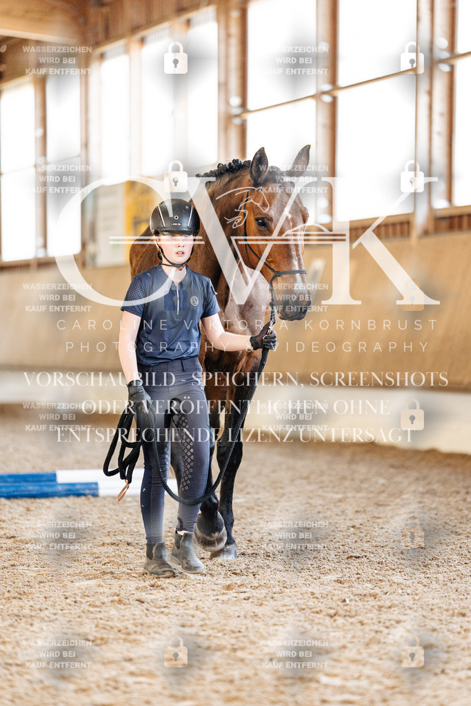 CK905779 | Turnierfotografie Pferdefotografie Trier Rheinland-Pfalz Pferdesport Reitsport Tierfotografie Sportfotografie Pferdevideo Pferdevideografie Equestrianvideography equestrianphotography  - Realisiert mit Pictrs.com