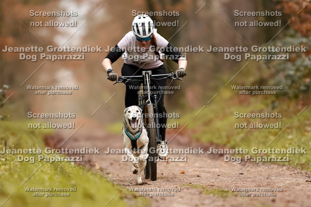 Dog Paparazzi - Speedhunter Mannheim  2025-15 | Dog Paparazzi Jeanette Grottendiek Fotografie & Videografie