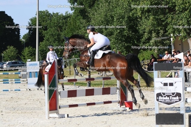 OHT 2022 Röhlingen (124) | Fotografie, Tiere, Hunde, Katzen, Pferde, Sportfotografie, Fotosession, Tierfotografie, Turnierfotografie, Fotografin, Fotograf - Realisiert mit Pictrs.com