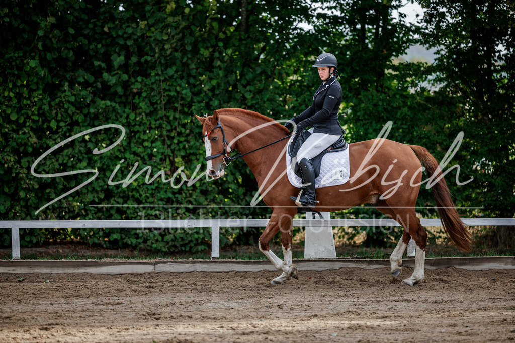 20260905-_3LI7091 | Tierfotografie Pferde, Hunde, Katzen, Haustiere.
Turnierfotografie Reitturniere, Reiten, Springreiten, Dressur in Hanau, dem Main-Kinzig-Kreis und dem Rhein-Main- Gebiet um Frankfurt