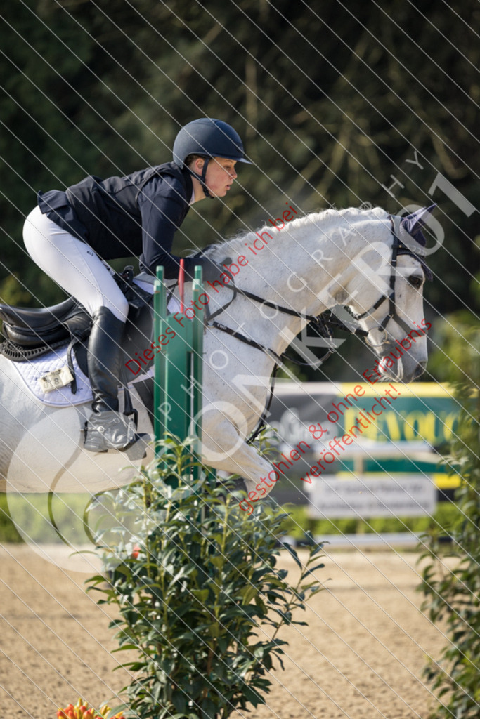 CON_0185 | Sport-, Event- und Tierfotos in Profiqualität. Einfach auswählen, bestellen und herunterladen. Dein Moment – perfekt festgehalten.