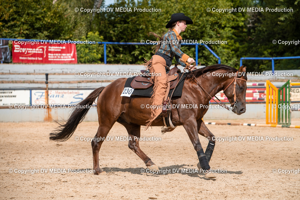 EWP_5999 | dv-media-shop - Realisiert mit Pictrs.com