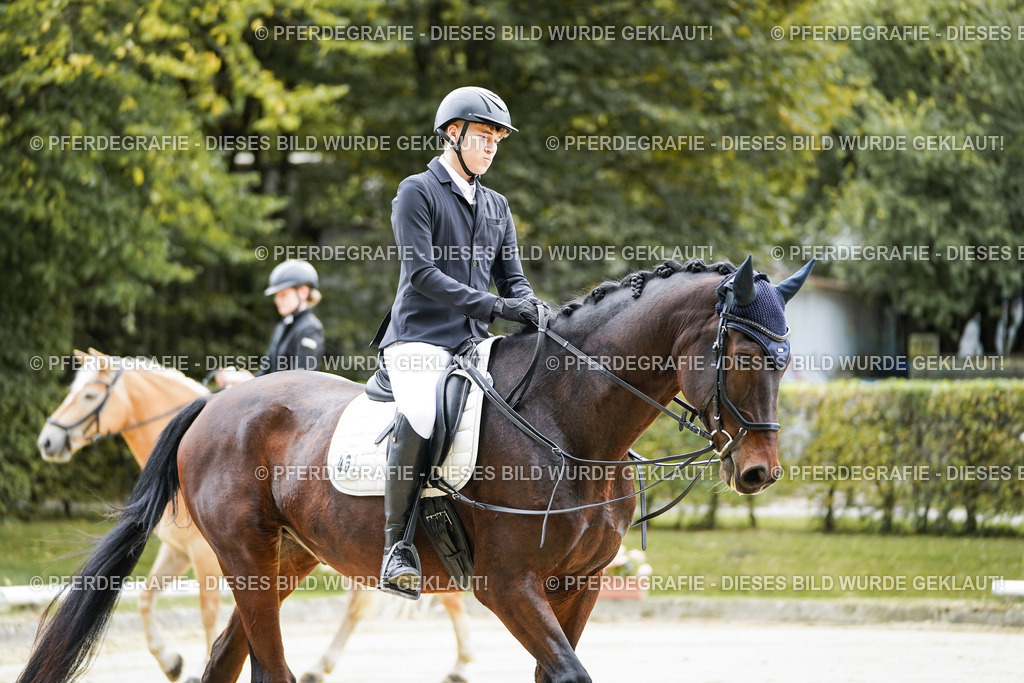 DSC04265 | Pferdegrafie