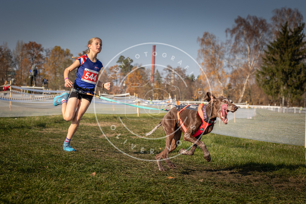 CaniXpix_0L8A9107 | Hundefotografie, Tierfotograf, Pfotenfotografie, Fotoshooting Hund, Hunde Portrait, Hundesport, Hundeportraits, Heideshooting, Hunde, Sportfotograf, Hundefotograf, Turnierhundsport, THS,  - Realisiert mit Pictrs.com