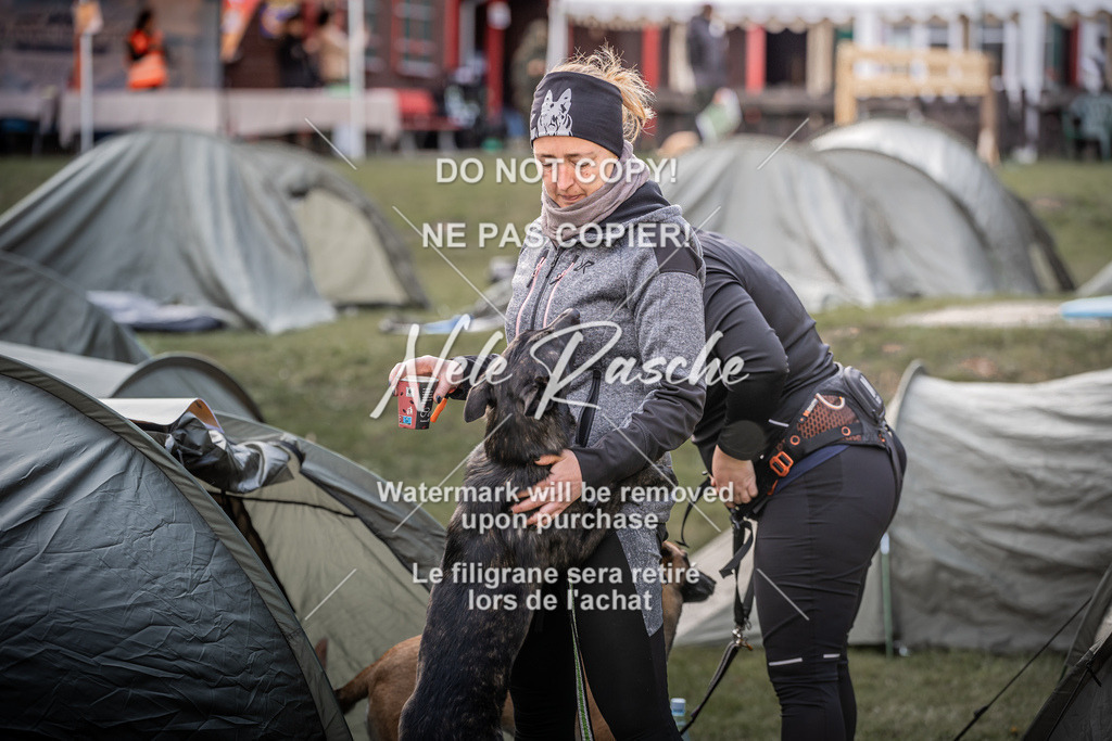 6Z1A1716 | nelerasche