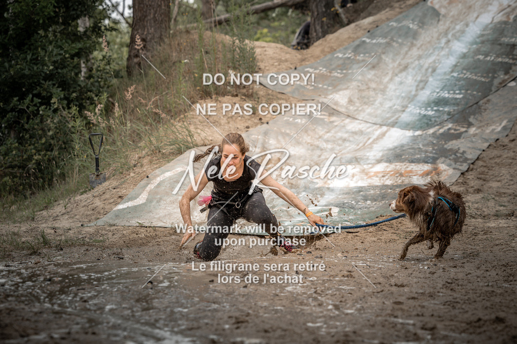nelerasche_sa1500-1530_104 | nelerasche