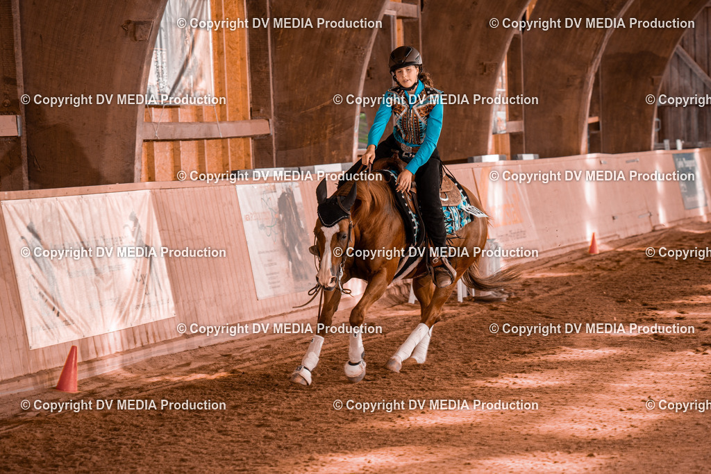 NE201134 | dv-media-shop - Realisiert mit Pictrs.com