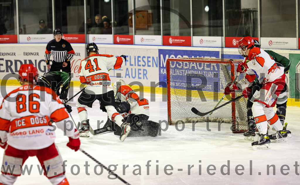 2022-12-02_011_TSV_Erding_gegen_EV_Pegnitz | Erding, Deutschland, 02.12.2022:
Eishockey, Bayernliga 2022 / 2023, 17. Spieltag, TSV Erding gegen EV Pegnitz, Endergebnis: 9:3

Wassilij Guft-Sokolov (Erding Gladiators, #8), Florian Möll (EV Pegnitz, #41), Torwart Filip Rieger (EV Pegnitz, #51), Jonas Voigt (EV Pegnitz, #6)

Foto: Christian Riedel / fotografie-riedel.net