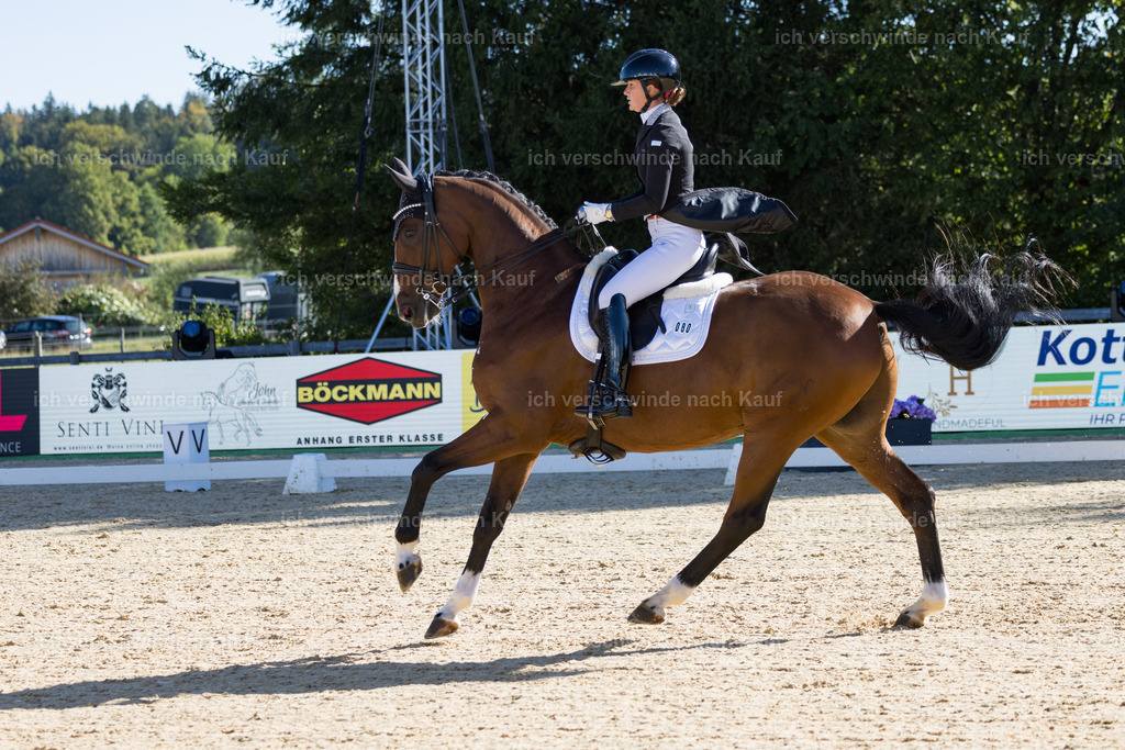 FHC2026_P07_80_17391 | working equitationturnier fotograf videograf stoibphotography marixx film working equitation deutschland reitsport turnierfotografie eventfotografie equestrian events