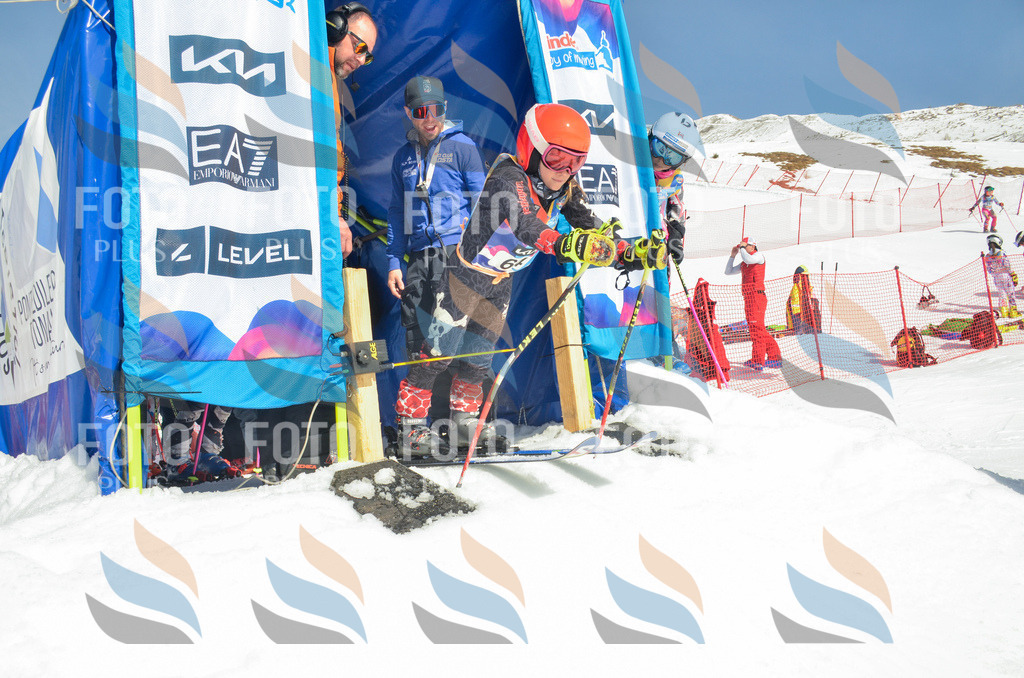 _ELE5361 | holidayphoto