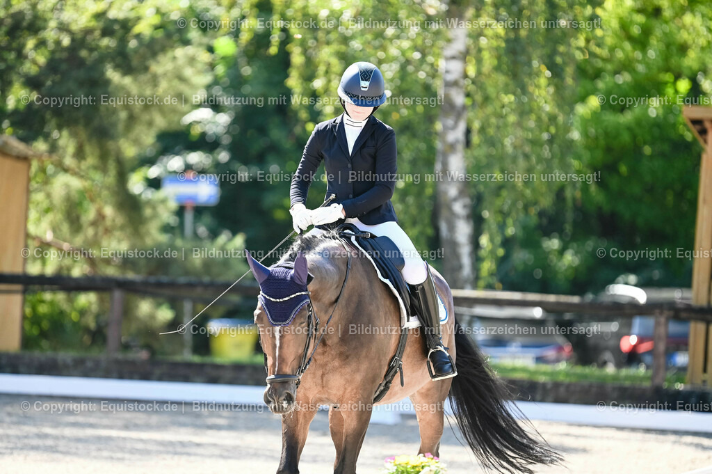 20230908_06_Dressur-L-Trense_0489 | equistock