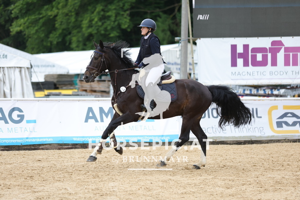 0P6A2317 | Willkommen bei Brunnmayr - Design & Fotografie – Ihrem Spezialisten für Reitturniere und Pferdeveranstaltungen in Oberösterreich, Salzburg und Bayern! Seit über 17 Jahren sind wir leidenschaftlich dabei.