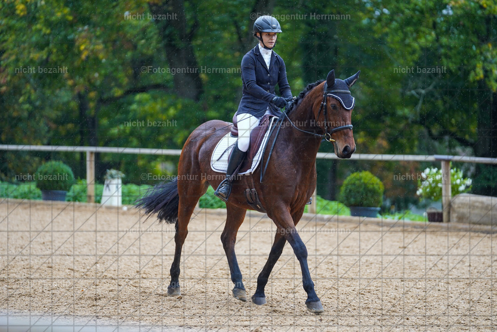 20221008-FAH02014 | Diessen am Ammersee, 2022, Dressur- und Springturnier, Reitsportbilder, Turnierfotografen Bayern, Pferdefotografen, Fotoagentur Herrmann, Turnierbilder