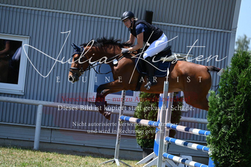 DSC_0637 | Pferde- und Turnierfotografie in Westsachsen. Pferdeportraits, Auftragszeichnungen und intuitive Kunst.