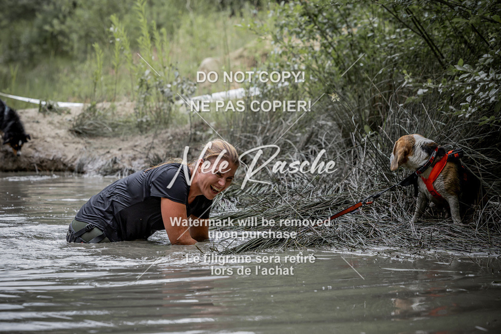 nelerasche_so1230-1300_177 | nelerasche