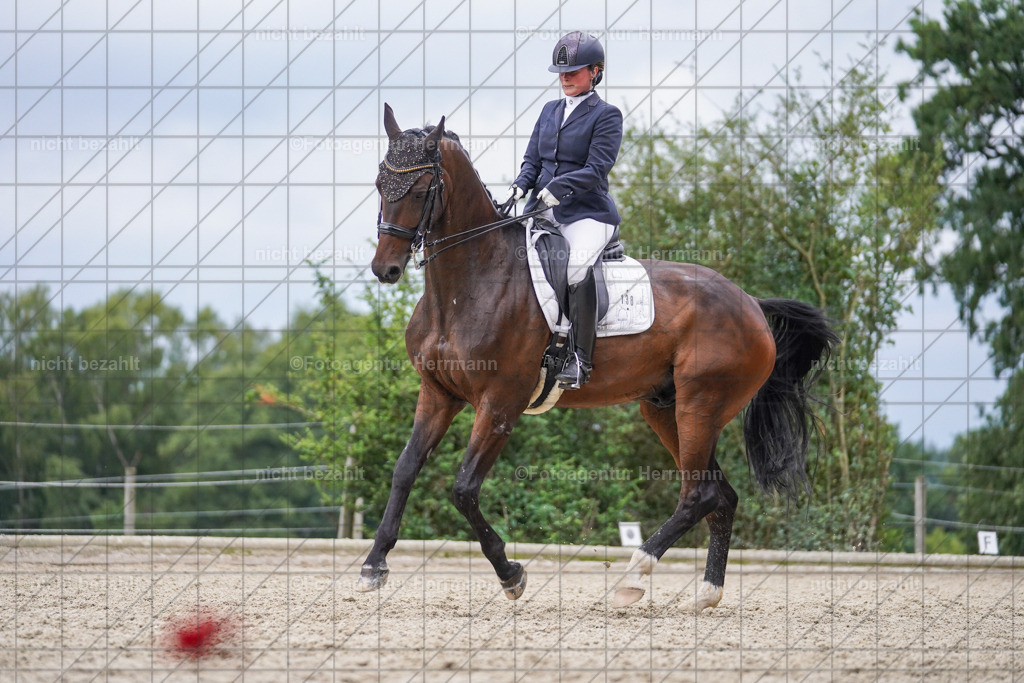 20230826-FAH06257 | Forstinning, 2023, Dressurturnier, Turniersportbilder, Turnierfotografen Bayern, Fotoagentur Herrmann, Reitsportfotografie, Turnierbilder