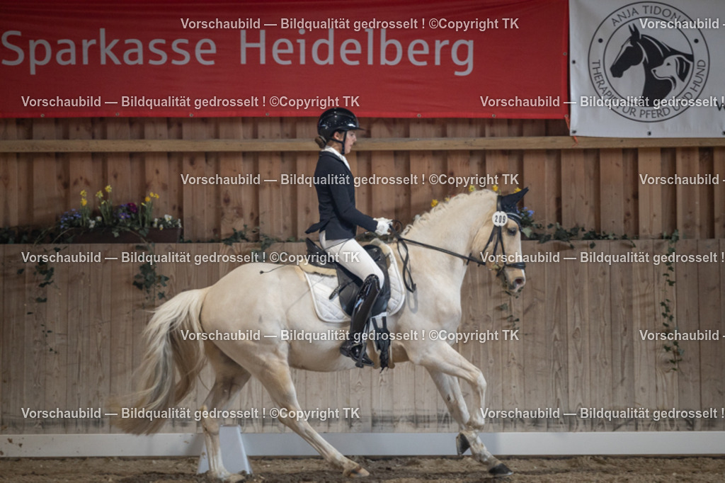 _D5A4664 | Emotionale Pferde- & People-Fotografie rund um Heidelberg, Leimen & Umgebung. Natürliche Fotos von Pferd, Mensch & Familie. Jetzt Termin sichern!