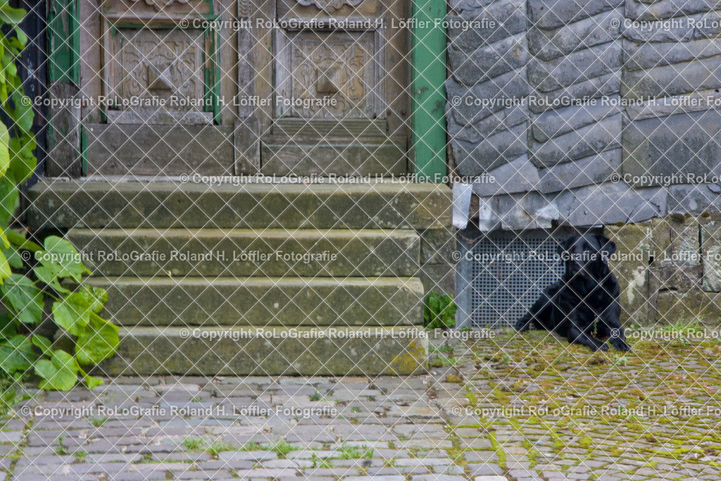 Altes-Haus-05-F | Altes Haus, Hauseingang mit Steintreppe, daneben sitzt ein schwarzer Labrador - Realisiert mit Pictrs.com