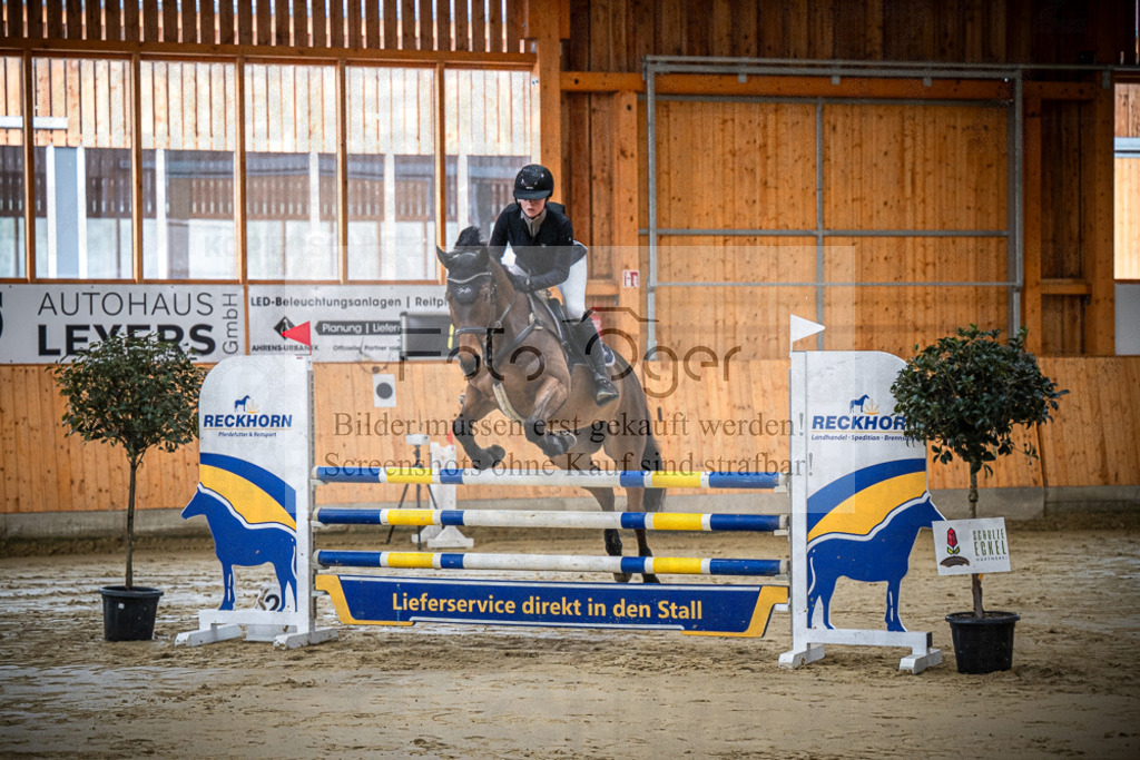 DOS_0095 | Entdecke hochwertige Reitturnierfotos von Foto Oger. Professionell, emotional und authentisch – jetzt Lieblingsmomente im Shop bestellen.Deutschlandweite Turnierfotografie. - Realisiert mit Pictrs.com