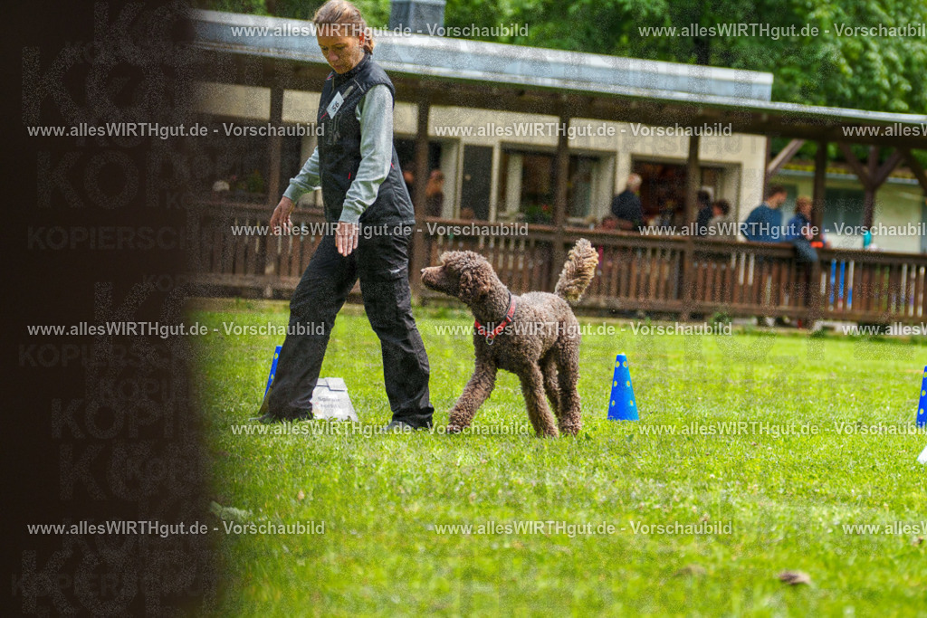 @allesWIRTHgut_Tierfotografie - www.allesWIRTHgut.de - 7R501122 | Professionelle Tierfotografie in Mönchengladbach von Daniel Wirth (allesWIRTHgut). Liebevolle & natürliche Bilder von Hunden & Katzen für unvergessliche Erinnerungen.