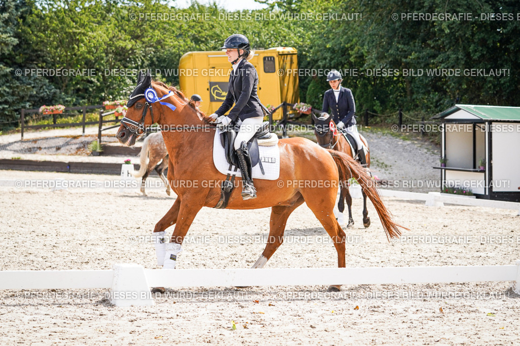 DSC02375 | Pferdegrafie