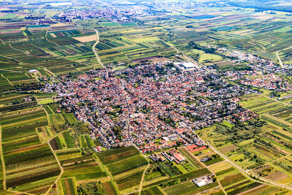 Luftbild: Ortsansicht von Westen in Weisenheim am Sand im Bundesland Rheinland-Pfalz in Deutschland. Foto: IMG_34385.jpg vom 03.10.2010 durch Werner Riehm/FLY-FOTO.deAuflösung des Originals: 4752 x 3168 px