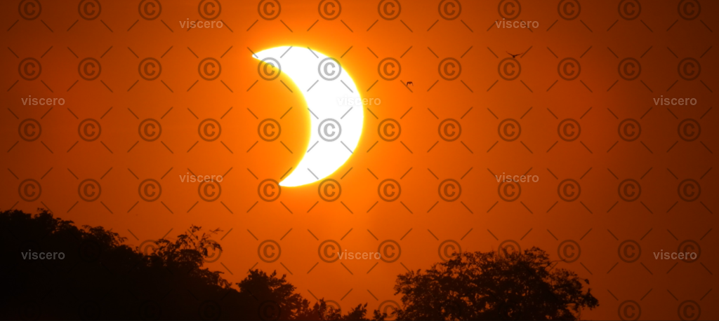 Screenshot 2026-08-14 001007 | viscero
