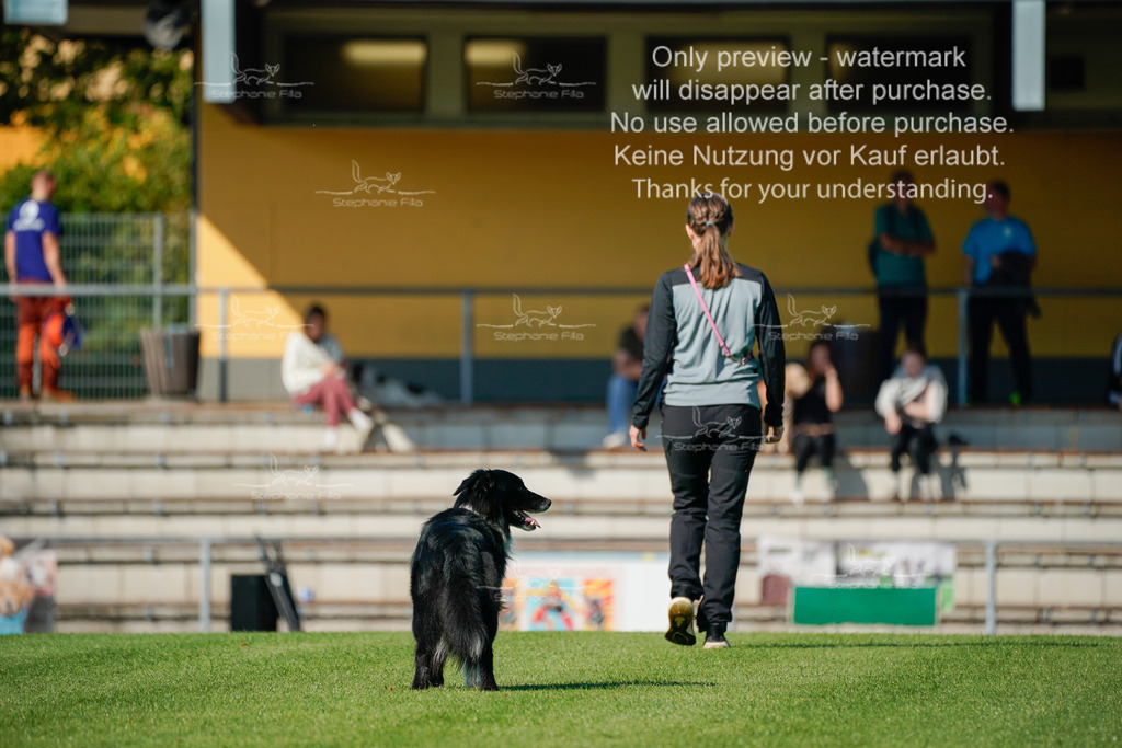 Samstag_Gehorsam_V2 (94) | stephaniefillaphotographie - Realisiert mit Pictrs.com