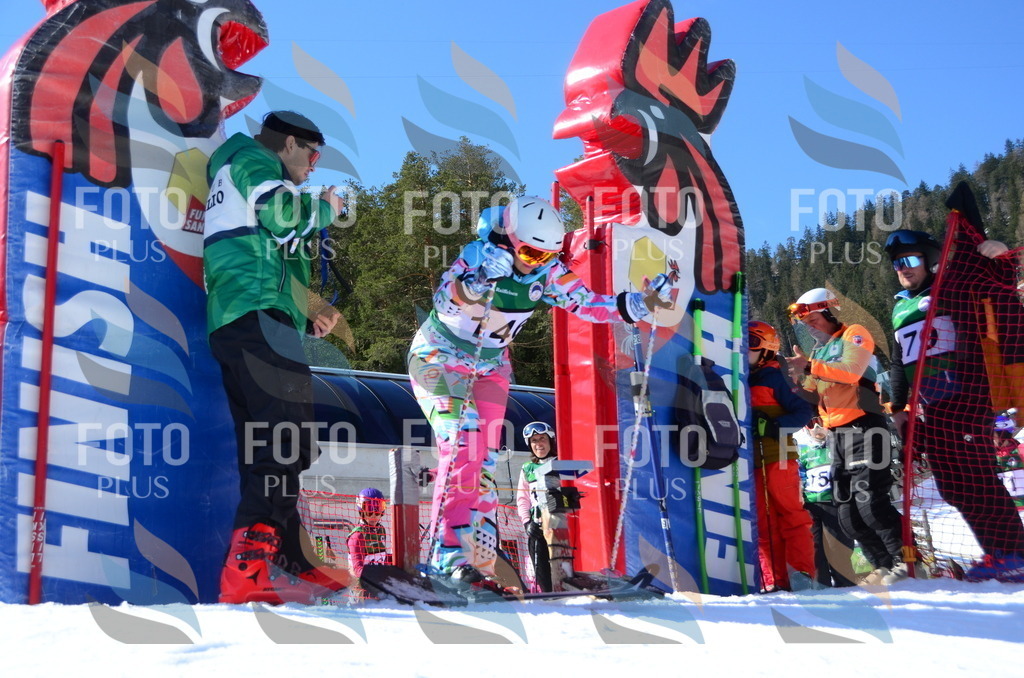 C6085 | holidayphoto