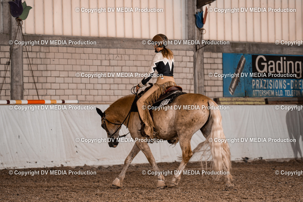 ZH100176 | dv-media-shop - Realisiert mit Pictrs.com