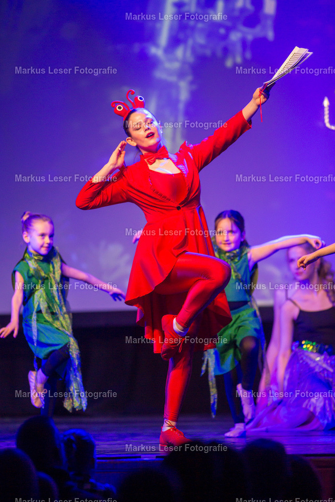 mlBallettSaAbend-0293 | Markus Leser Fotografie - Realisiert mit Pictrs.com