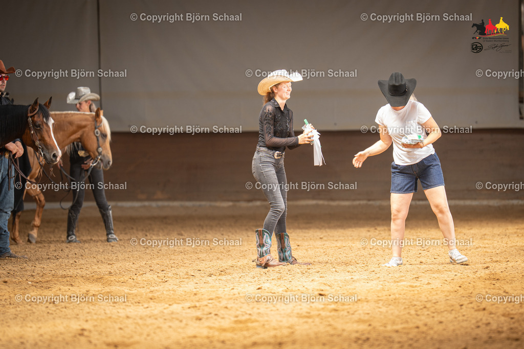 LMS06093 | BS-foto