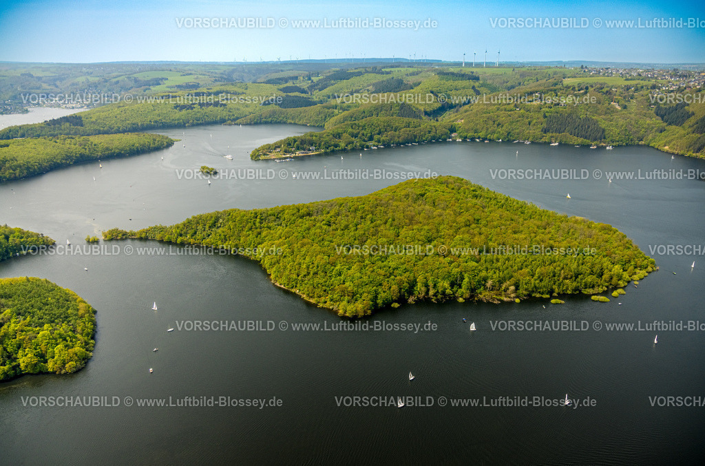 Heimrath240501872Rursee | Luftbild, Rursee mit Insel Eichert, Rurtalsperre Schwammenauel und Rursee-Schifffahrt mit Segelbooten, Waldgebiet Hügel und Täler, Nationalpark Eifel, Hasenfeld, Heimbach, Nordrhein-Westfalen, Deutschland