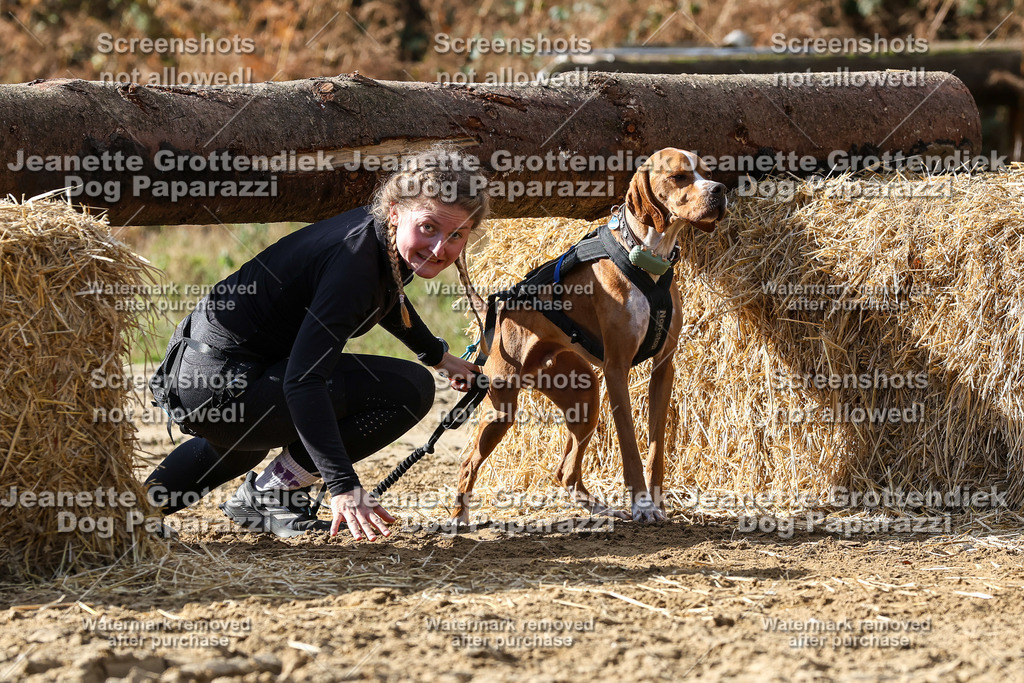 Dog Paparazzi - Strongdog 10-25-5210 | Dog Paparazzi Jeanette Grottendiek Fotografie & Videografie - Realisiert mit Pictrs.com
