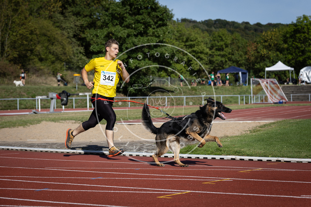 Pfotenfotografie_DV3A8322 | Hundefotografie, Tierfotograf, Pfotenfotografie, Fotoshooting Hund, Hunde Portrait, Hundesport, Hundeportraits, Heideshooting, Hunde, Sportfotograf, Hundefotograf, Turnierhundsport, THS,  - Realisiert mit Pictrs.com