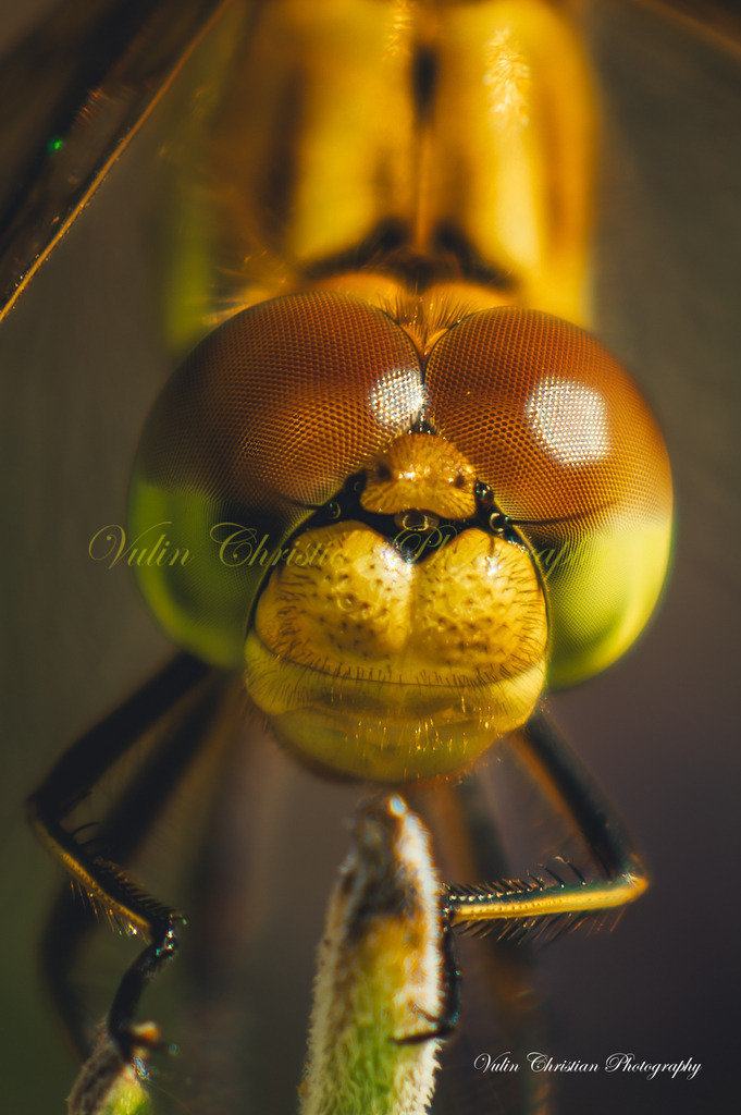 ULMA 22 | Christian Vulin  - Realisiert mit Pictrs.com