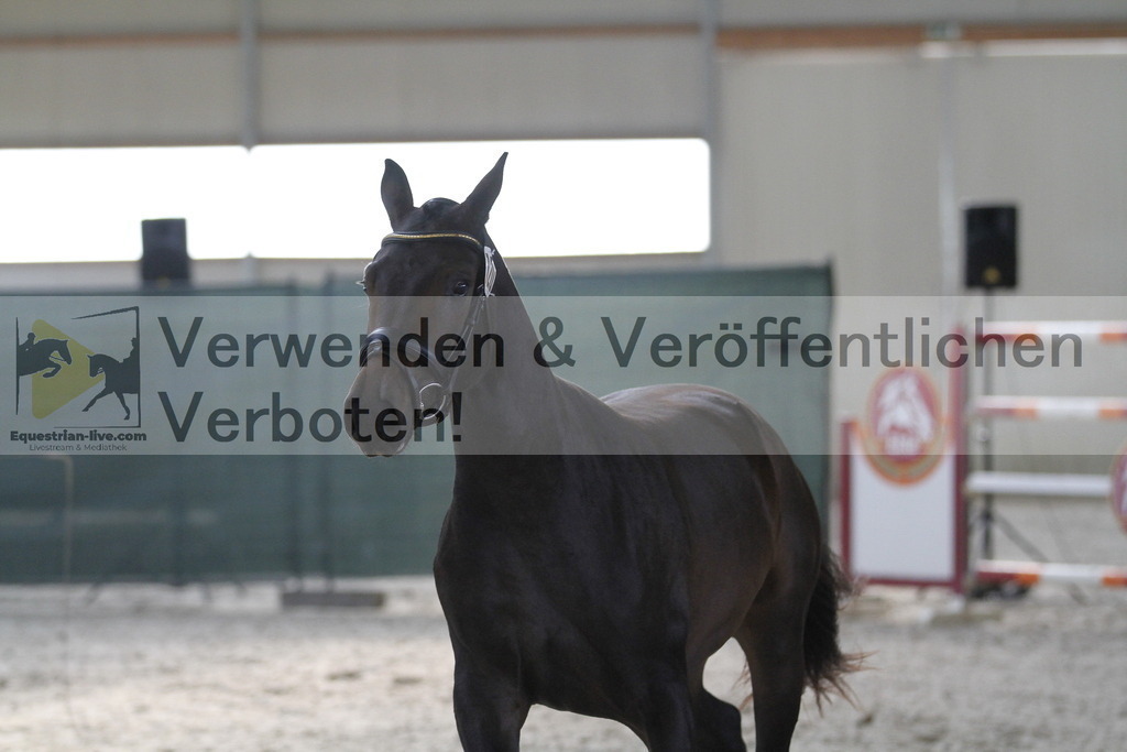 _MG_9443 | equestrian-live-com