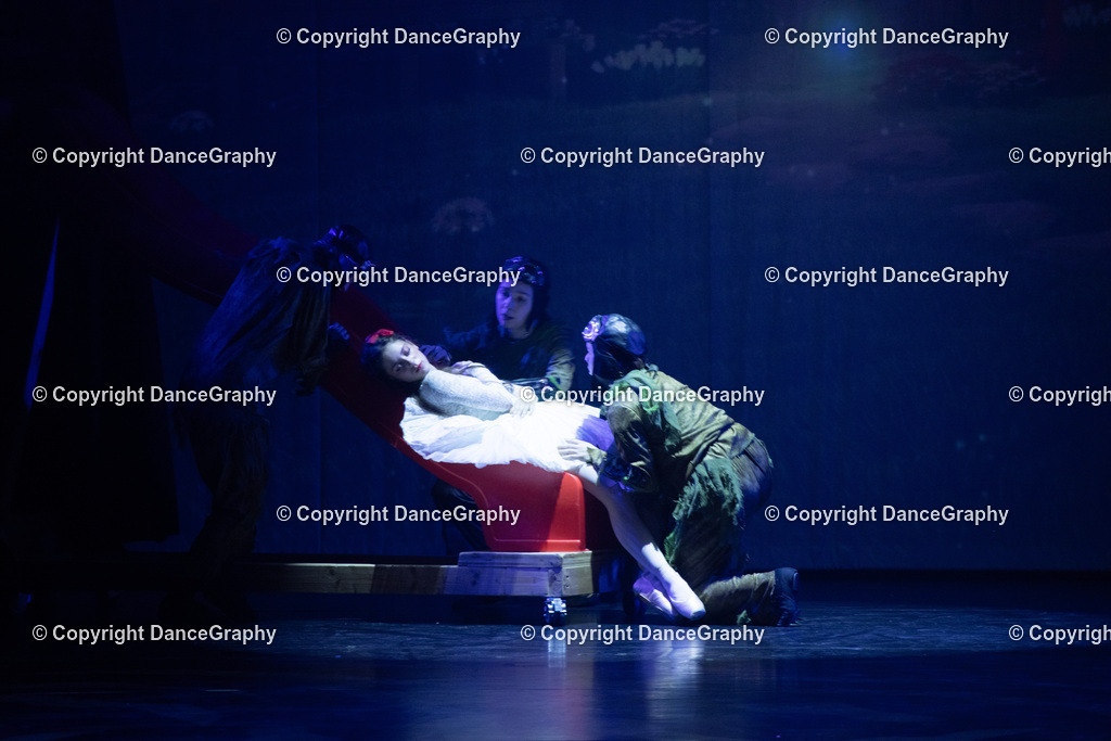 GPHY2294 | DanceGraphy - Realisiert mit Pictrs.com