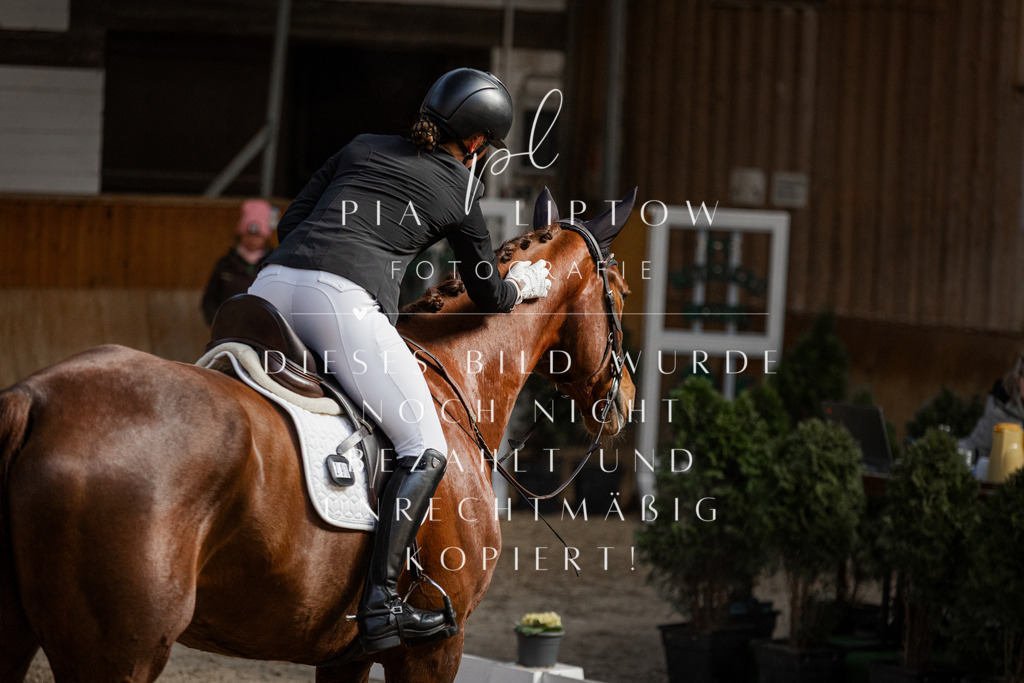 IMGT4185 | pl-fotografie