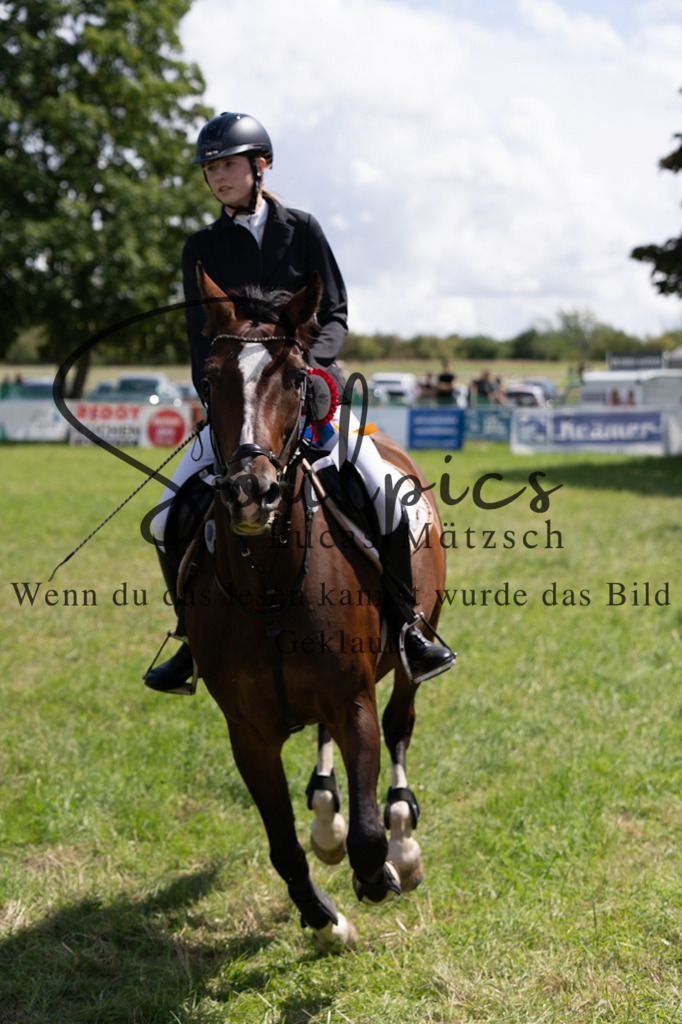 A7V04402 | Turnier/Reitfotograf