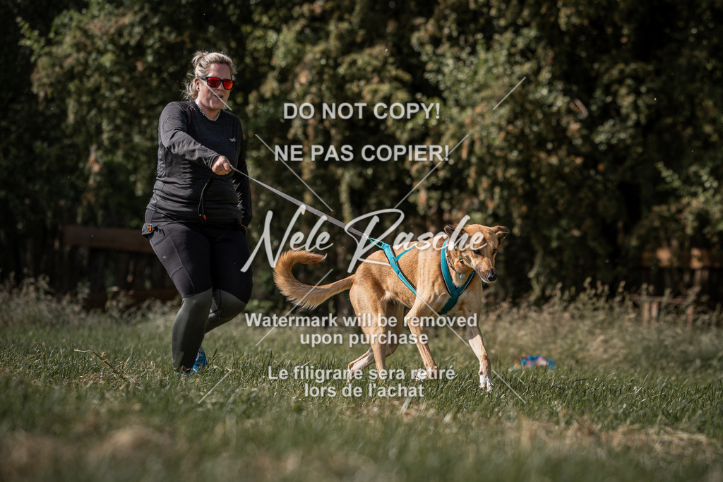 nelerasche_Do-spät_143 | nelerasche