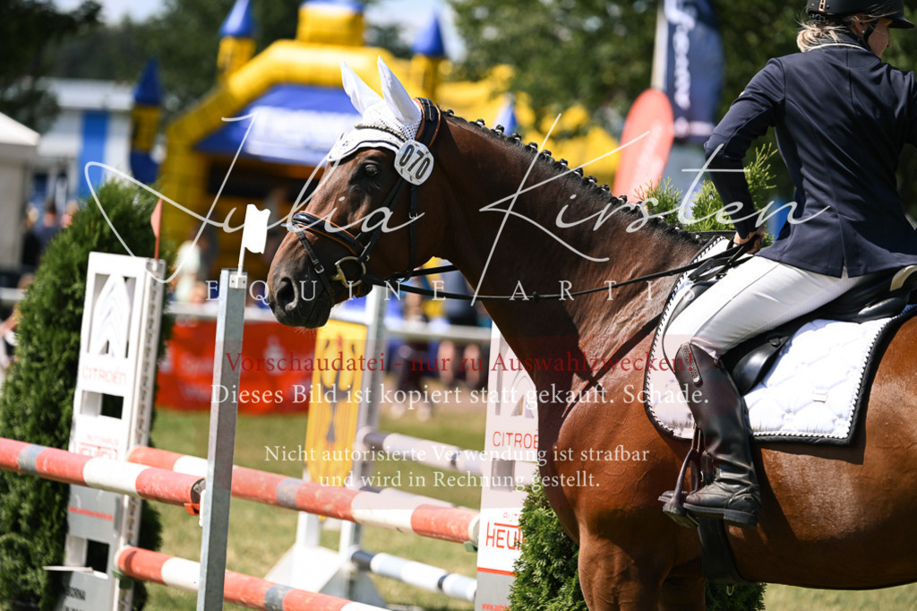 DSC_0460 | Pferde- und Turnierfotografie in Westsachsen. Pferdeportraits, Auftragszeichnungen und intuitive Kunst.