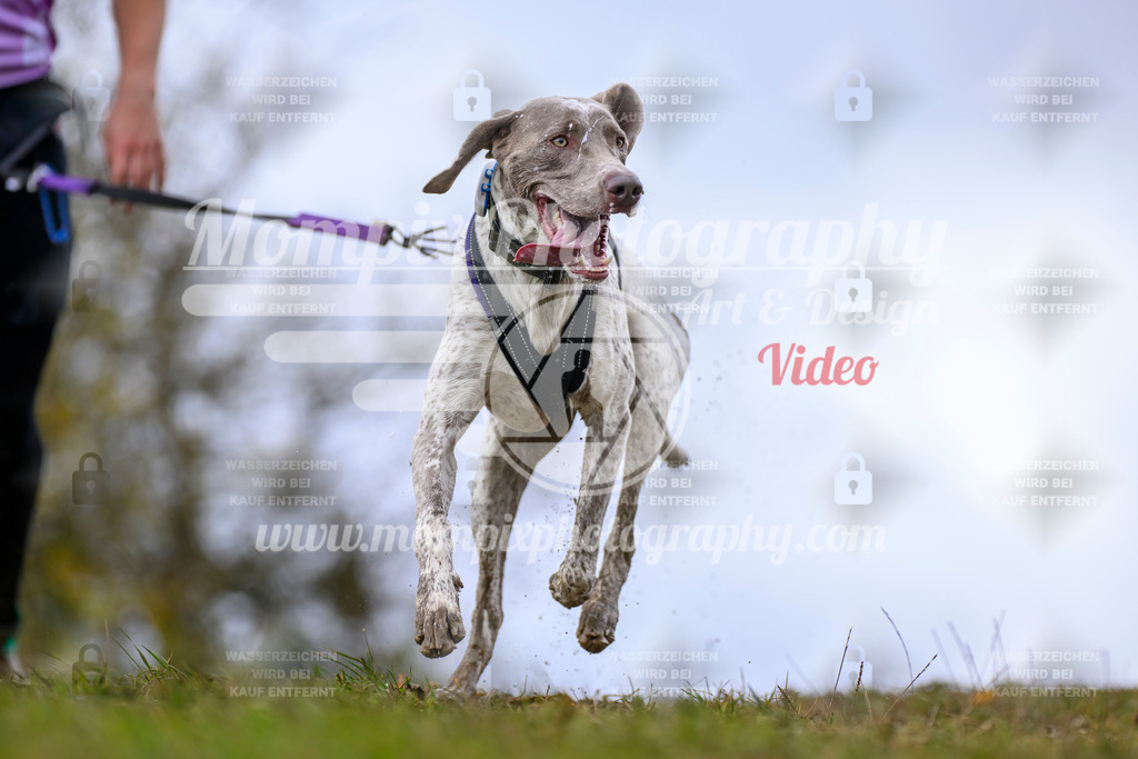 MompixPhotography_2OATB_SO_Run-20 | PayLife