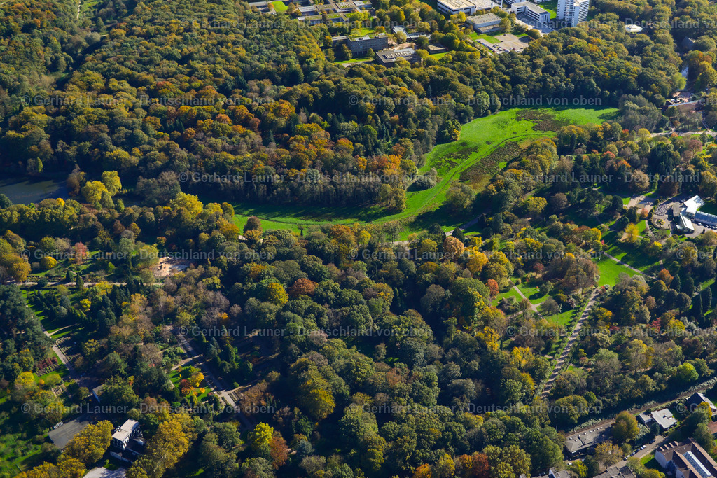 3491544 | Rombergpark, Dortmund