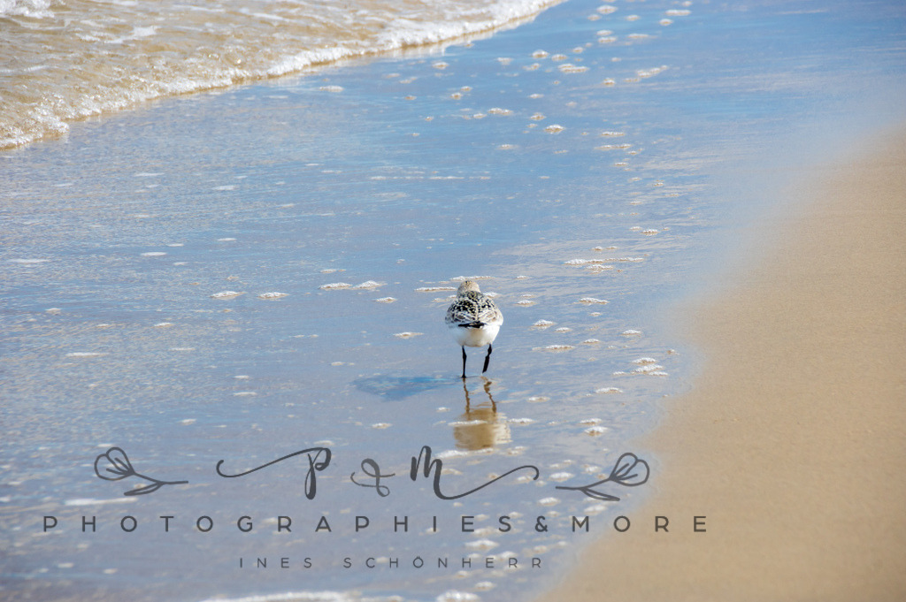 _Grenen22-1790 | Photographies and more - Realisiert mit Pictrs.com